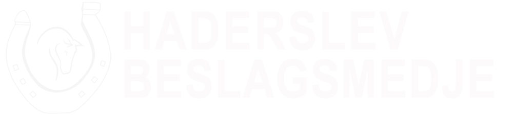 Haderslev-Beslagsmedje-logo-topmenu